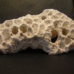 stone2